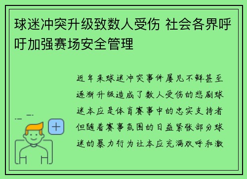 球迷冲突升级致数人受伤 社会各界呼吁加强赛场安全管理